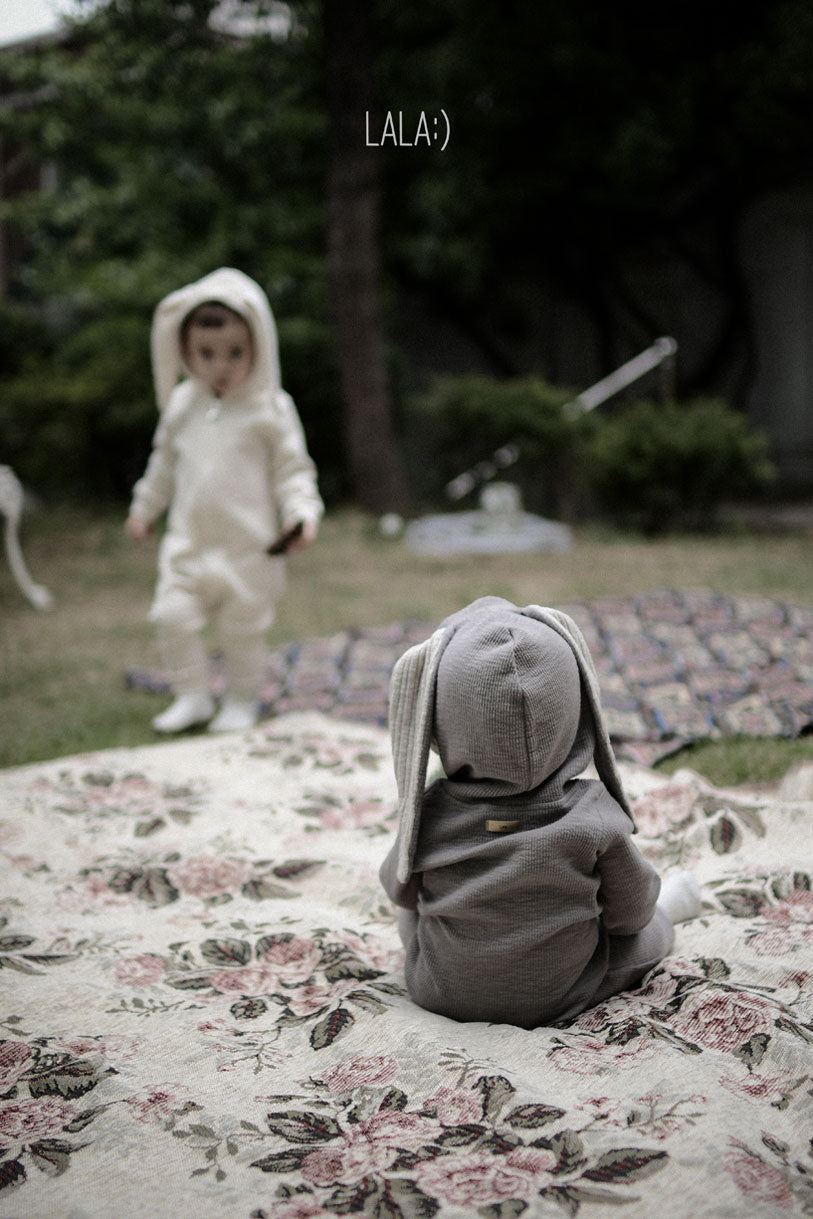 LALA Rabbit Suit